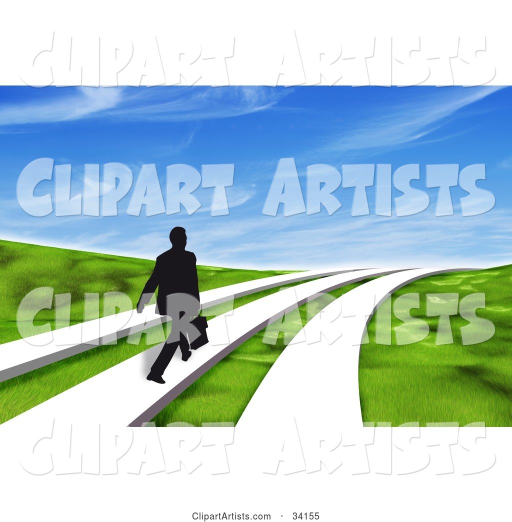 Black Silhouetted Businessman Walking One of Three Paths Through a Grassy Landscape Under a Blue Sky