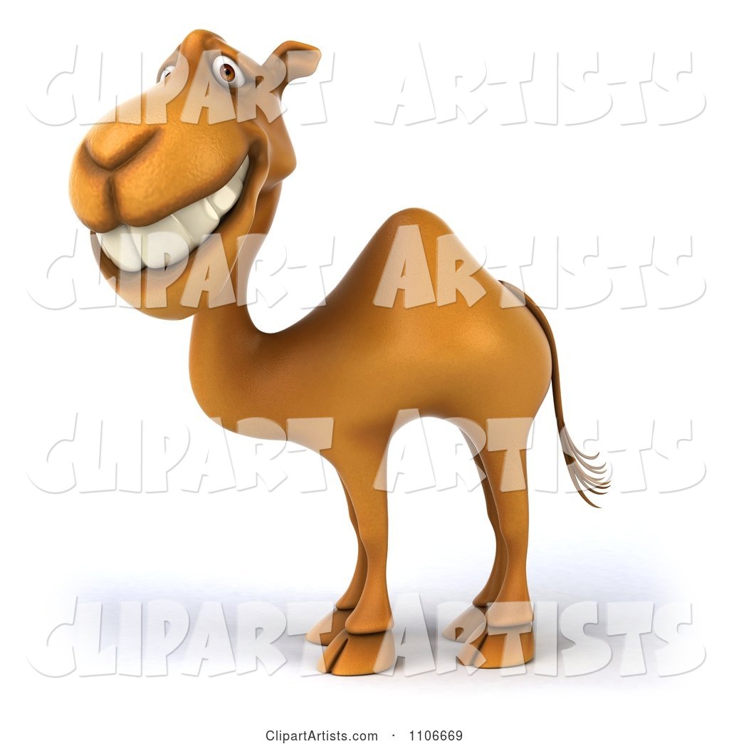 Happy Camel