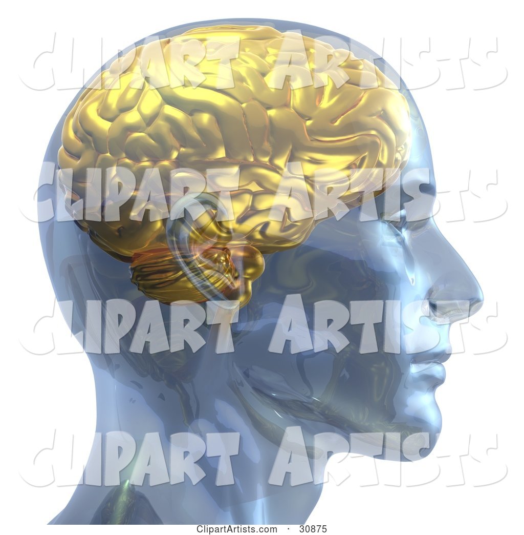 Rendered Man with a Golden Brain, in Profile