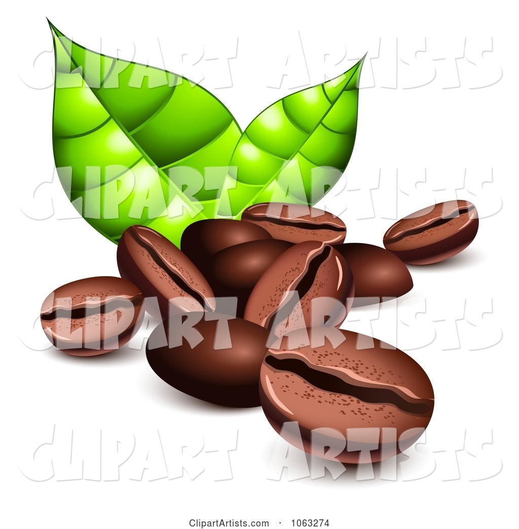 Coffee Beans and Green Leaves