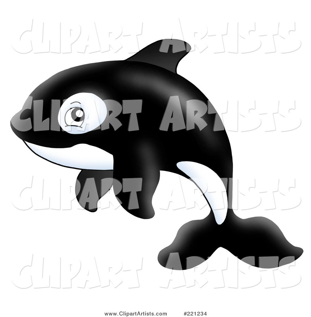 Adorable Orca Whale