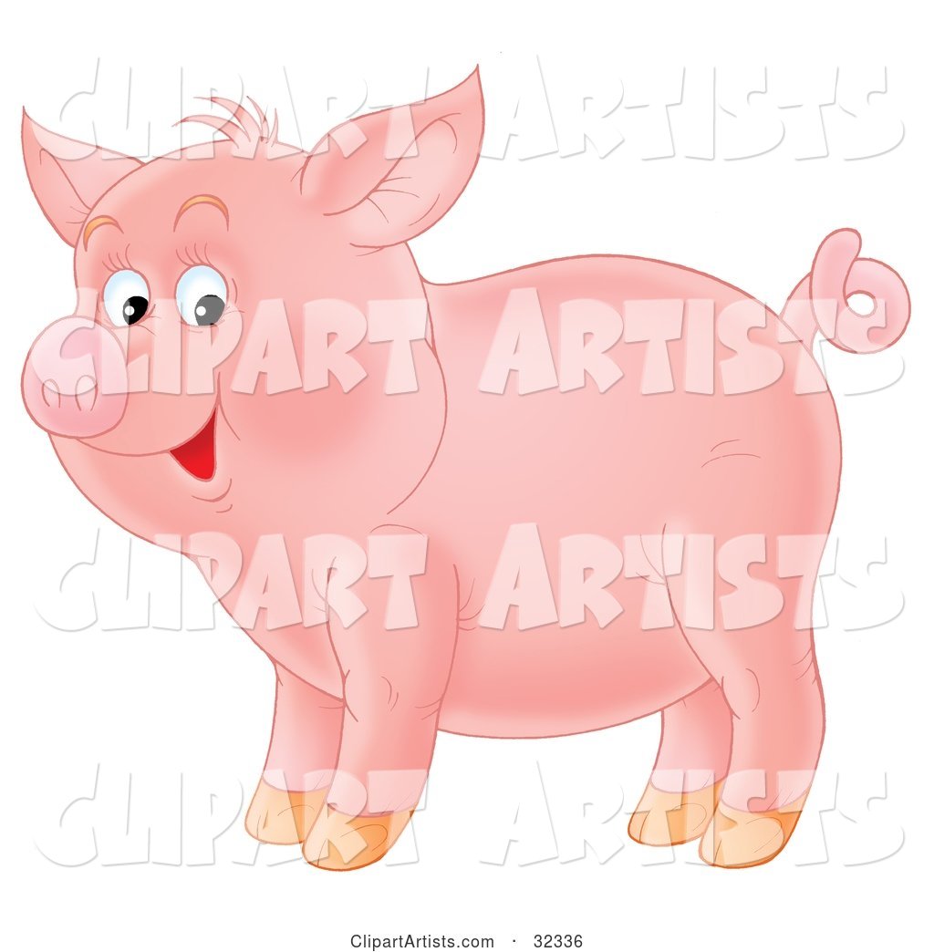 Adorable Pink Pig with a Curly Tail, Standing in Profile