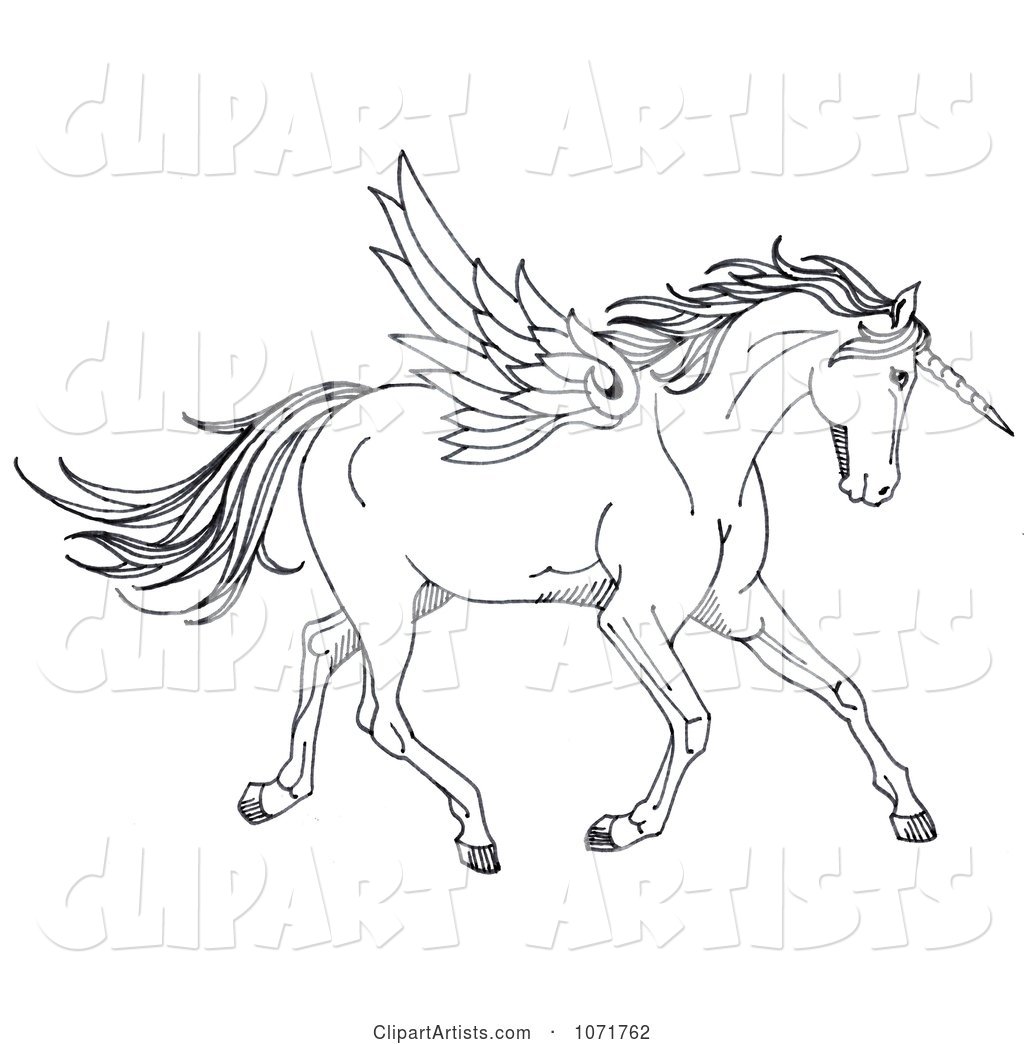 Black and White Sketched Fantasy Winged Unicorn Horse