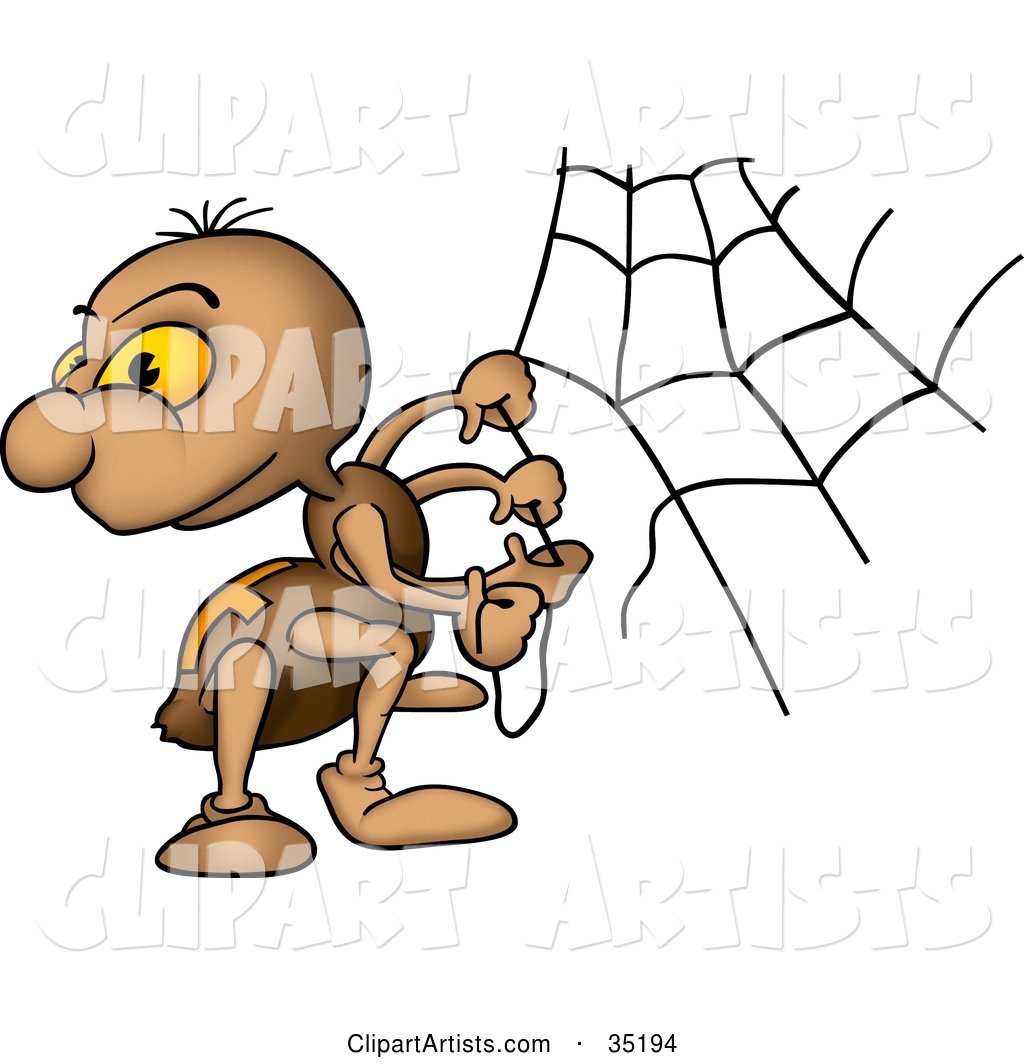 Brown Spider with Orange Eyes, Looking Back While Creating a Web