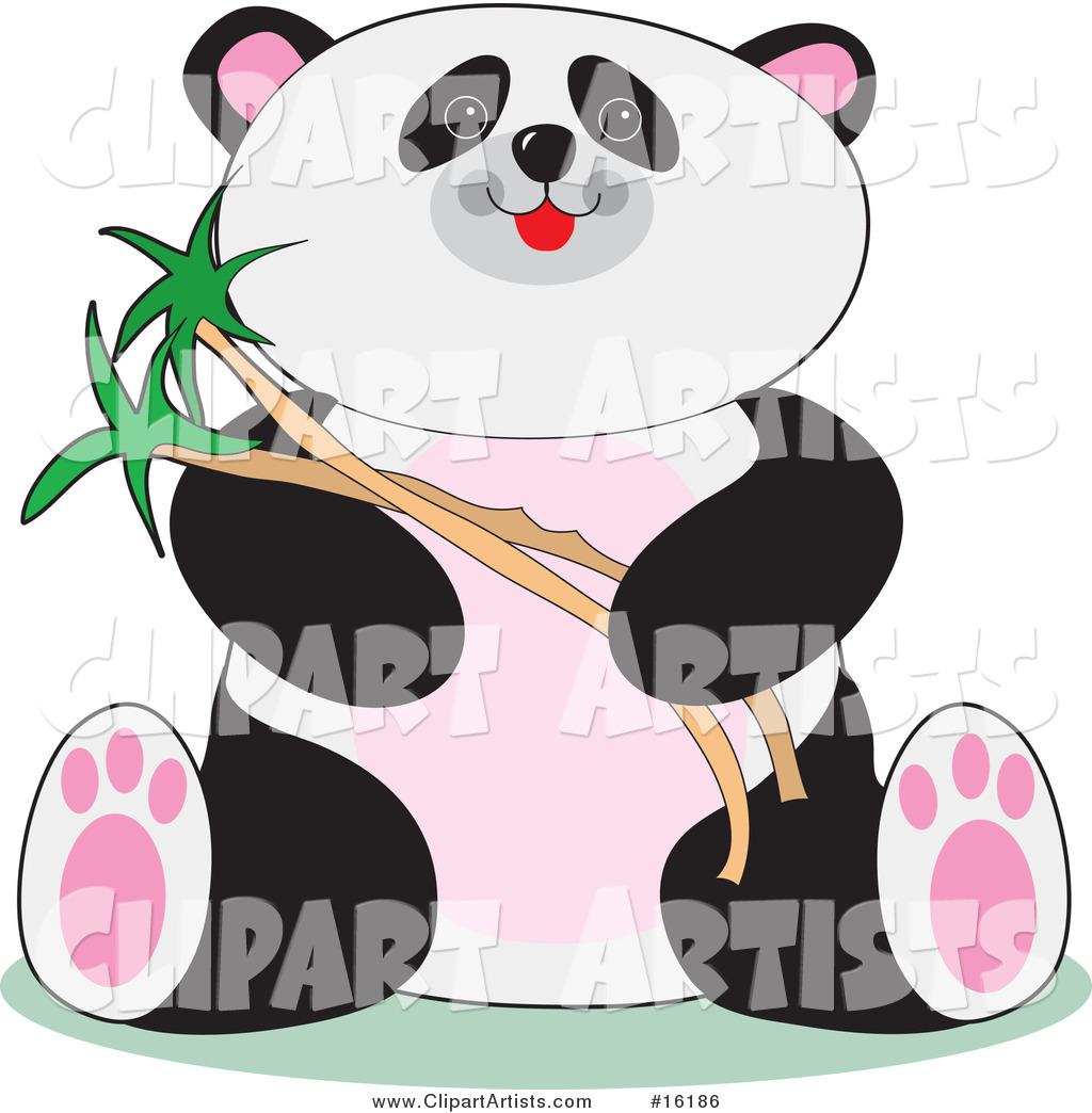 Cute Chubby Panda Sitting and Holding Bamboo Stalks