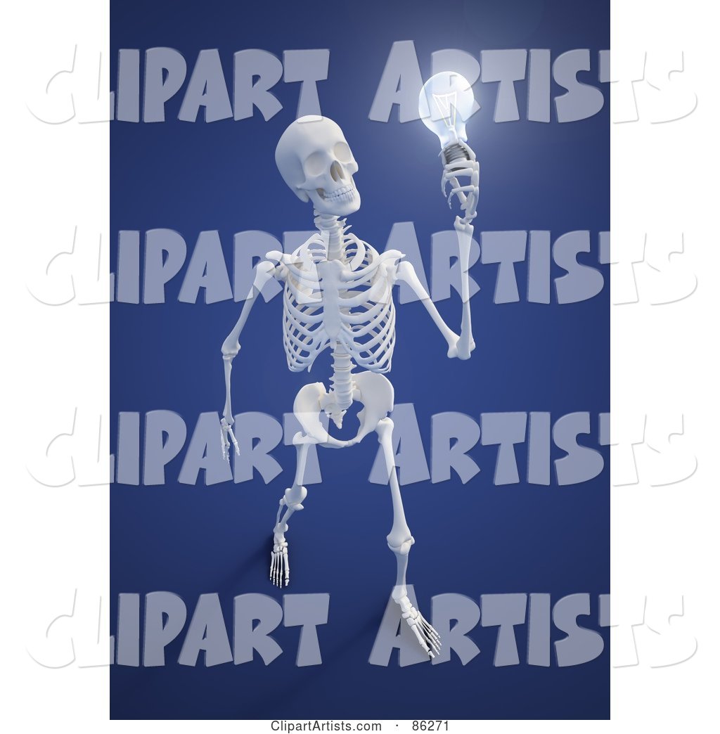 Human Skeleton Holding a Light Bulb