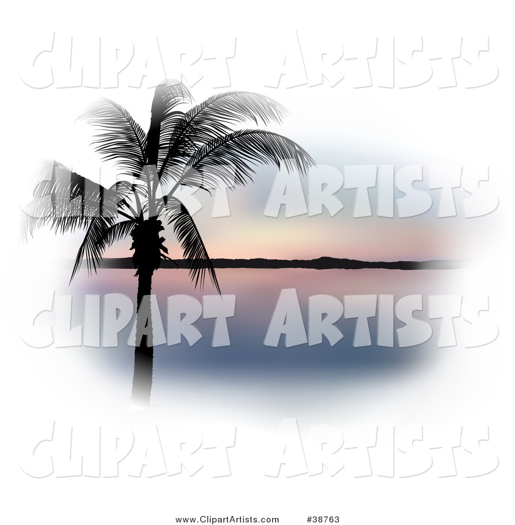 Palm Tree Silhouetted in Black Against a Pastel Pink Sunset