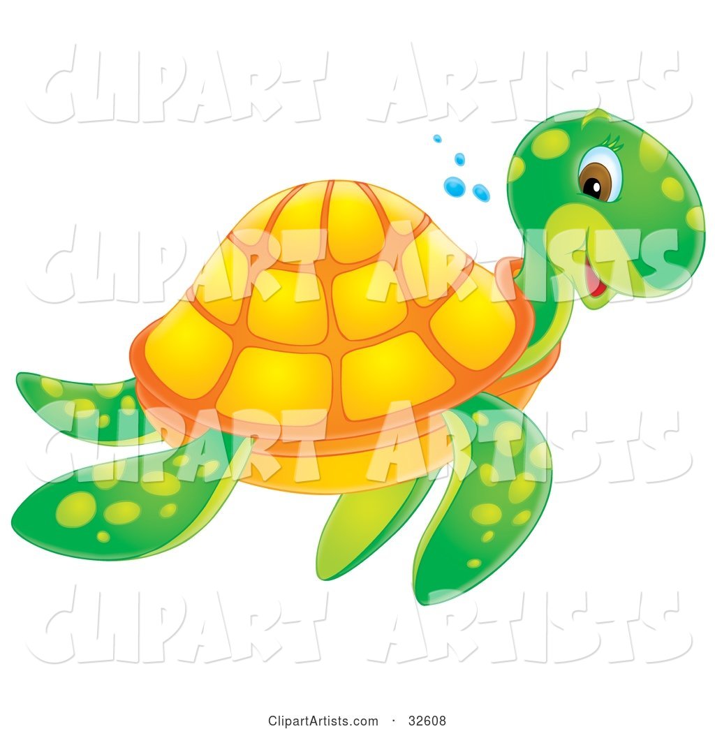 Smiling Green and Orange Sea Turtle Swimming past