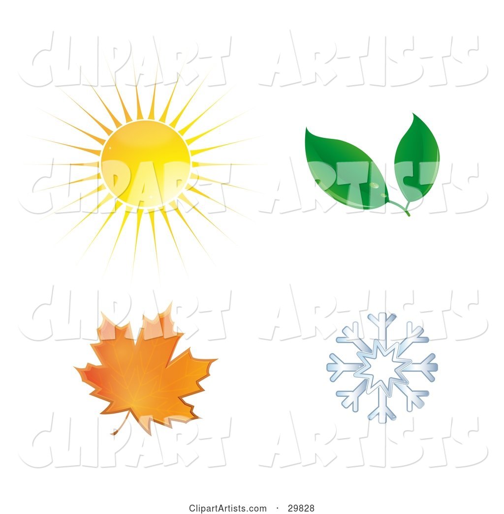 Summer Sun, Spring Leaves, Autumn Maple Leaf and Winter Snowflake