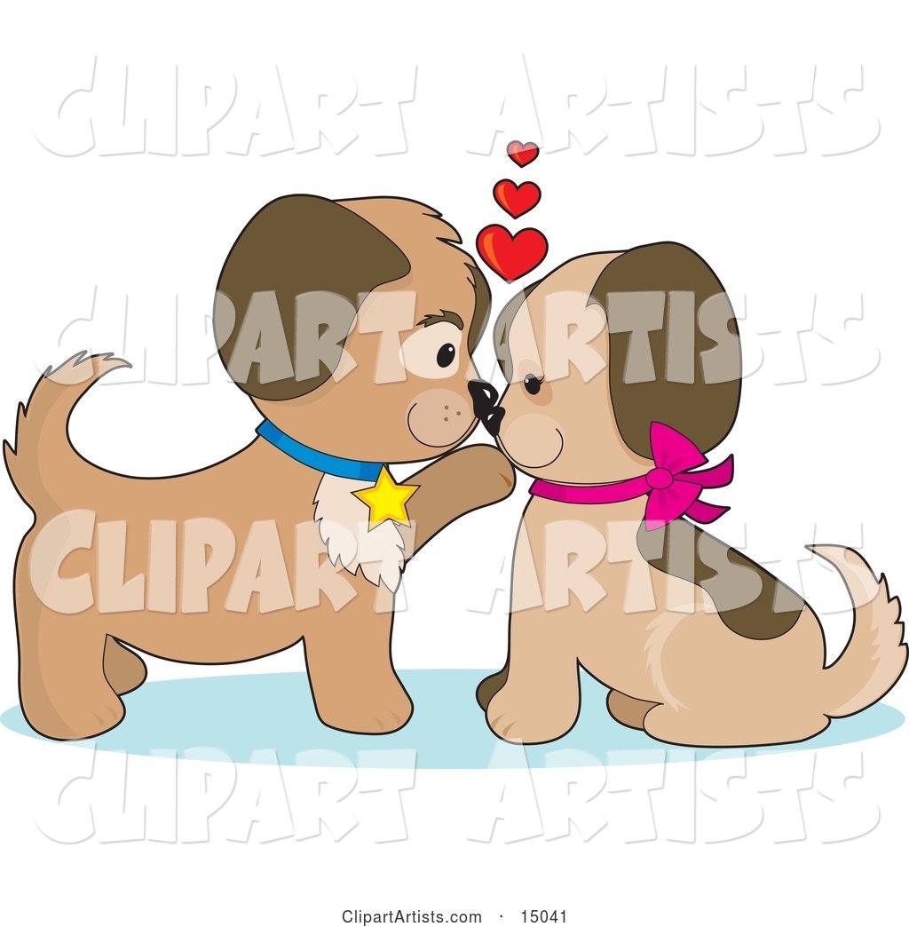 Two Dogs in Puppy Love, Kissing and Looking Eachother in the Eyes