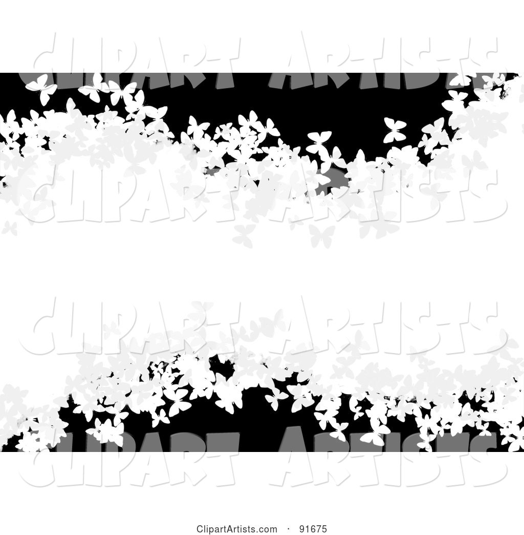 White Wave of Butterflies over Black