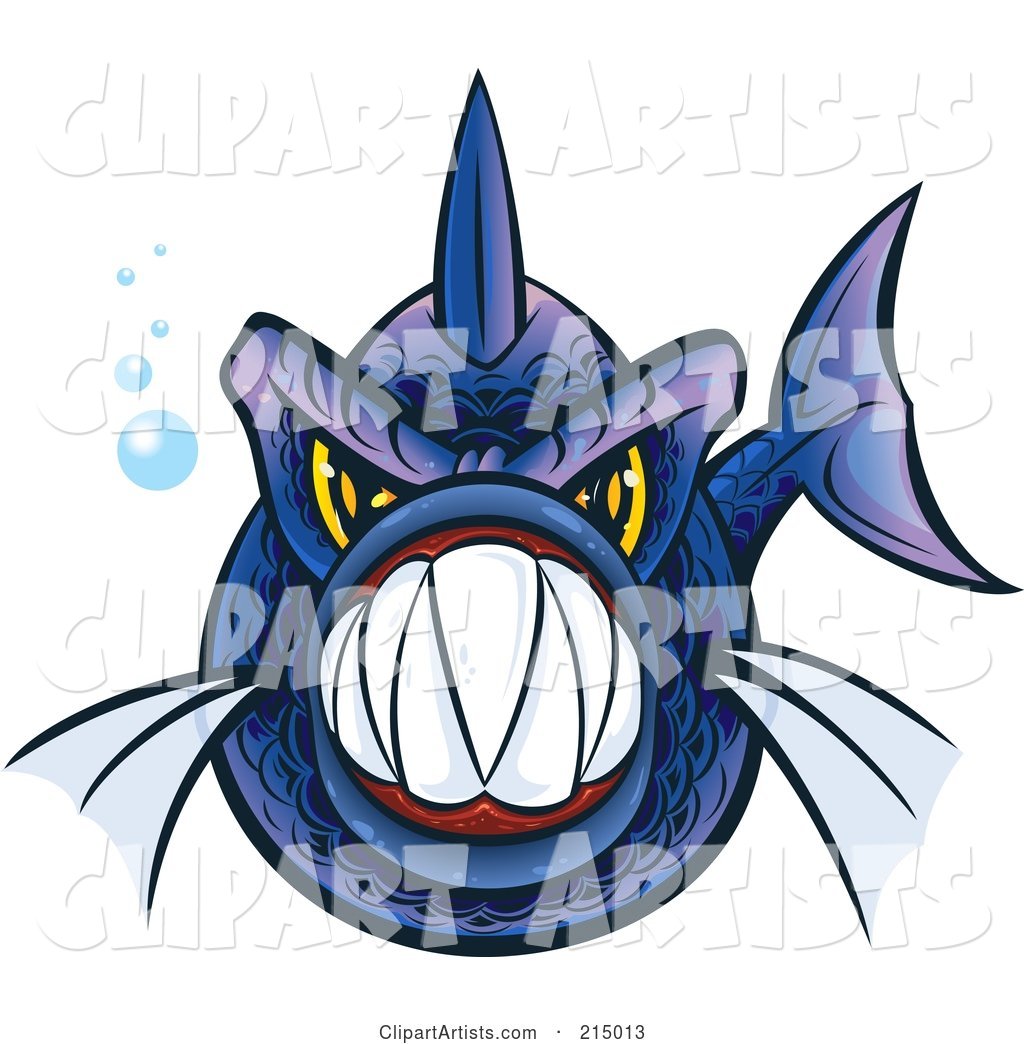 Aggressive Blue and Purple Piranha Fish with Sharp Teeth