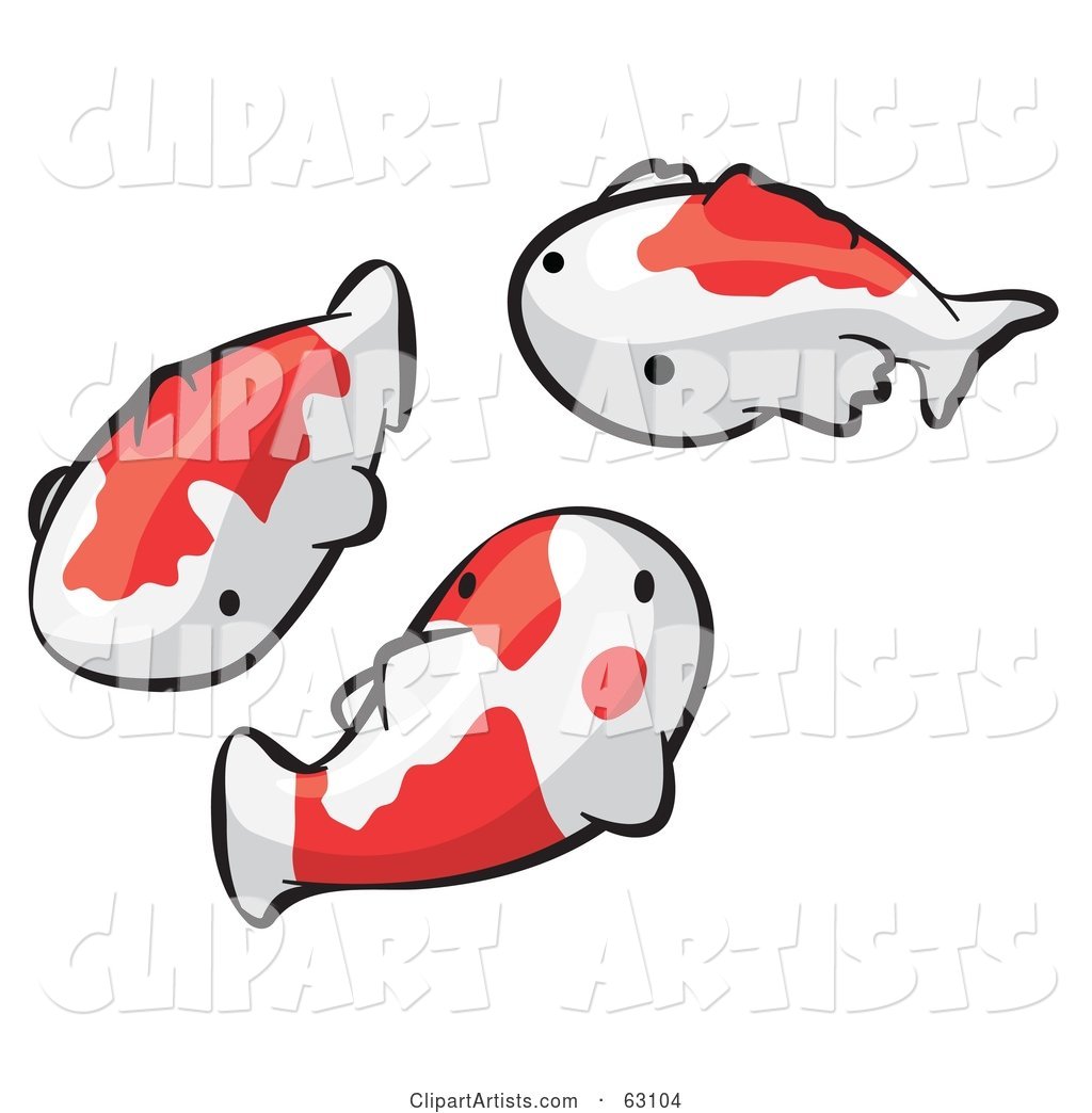 Animal Factor White and Orange Koi Fish