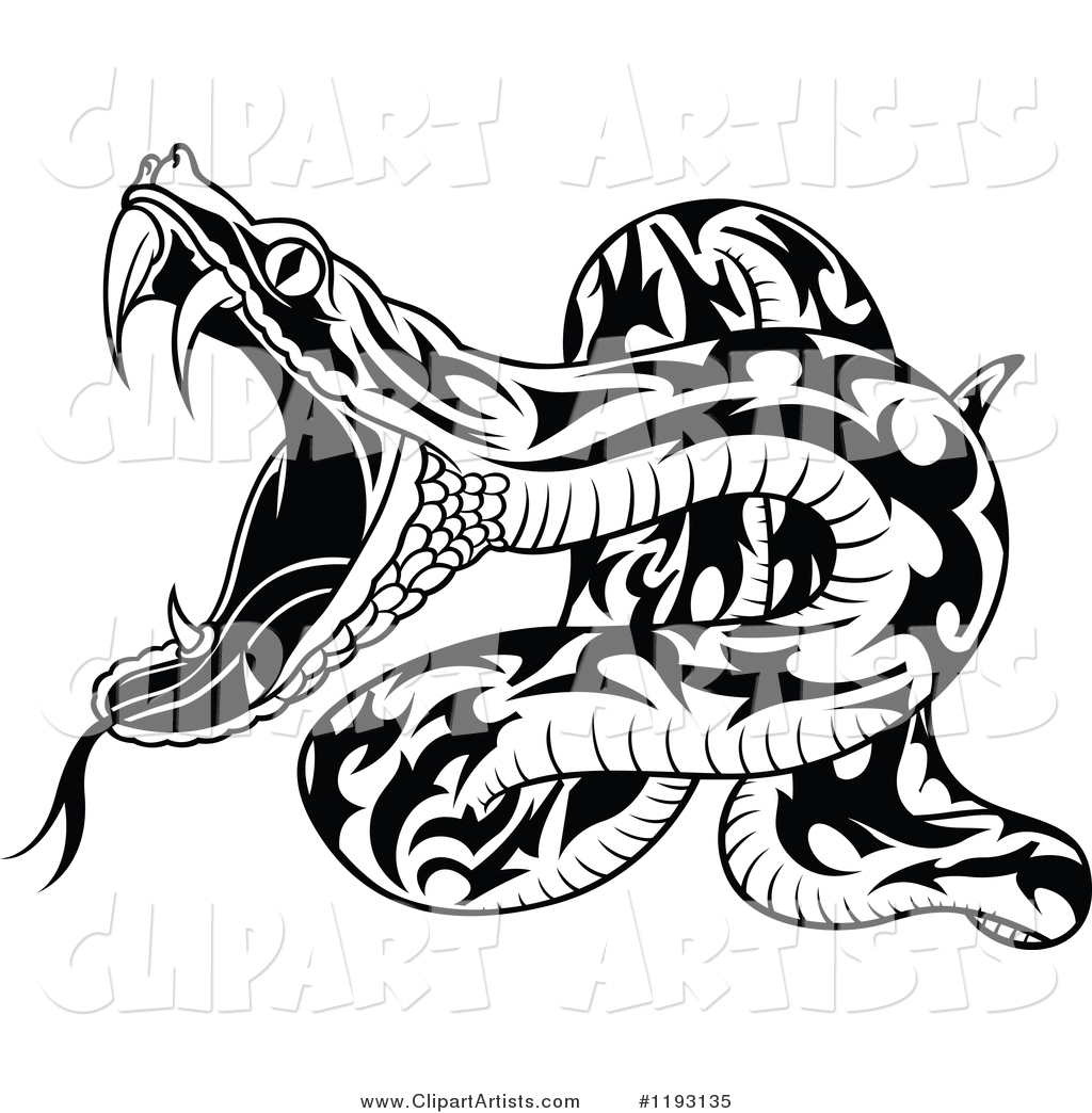 Attacking Black and White Snake