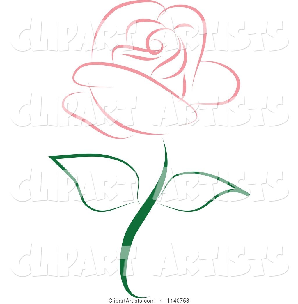 Beautiful Single Pink Rose 2