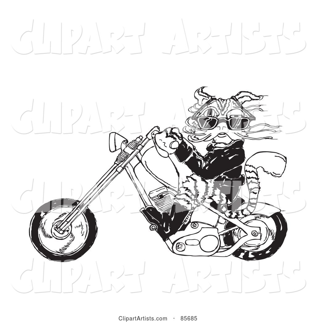 Biker Cat Riding a Chopper