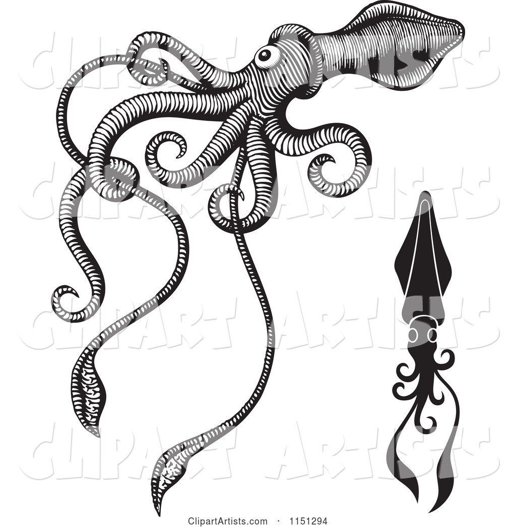 Black and White Giant Squids