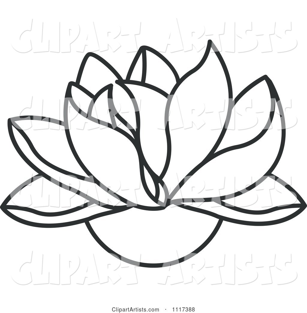Black and White Lotus Flower