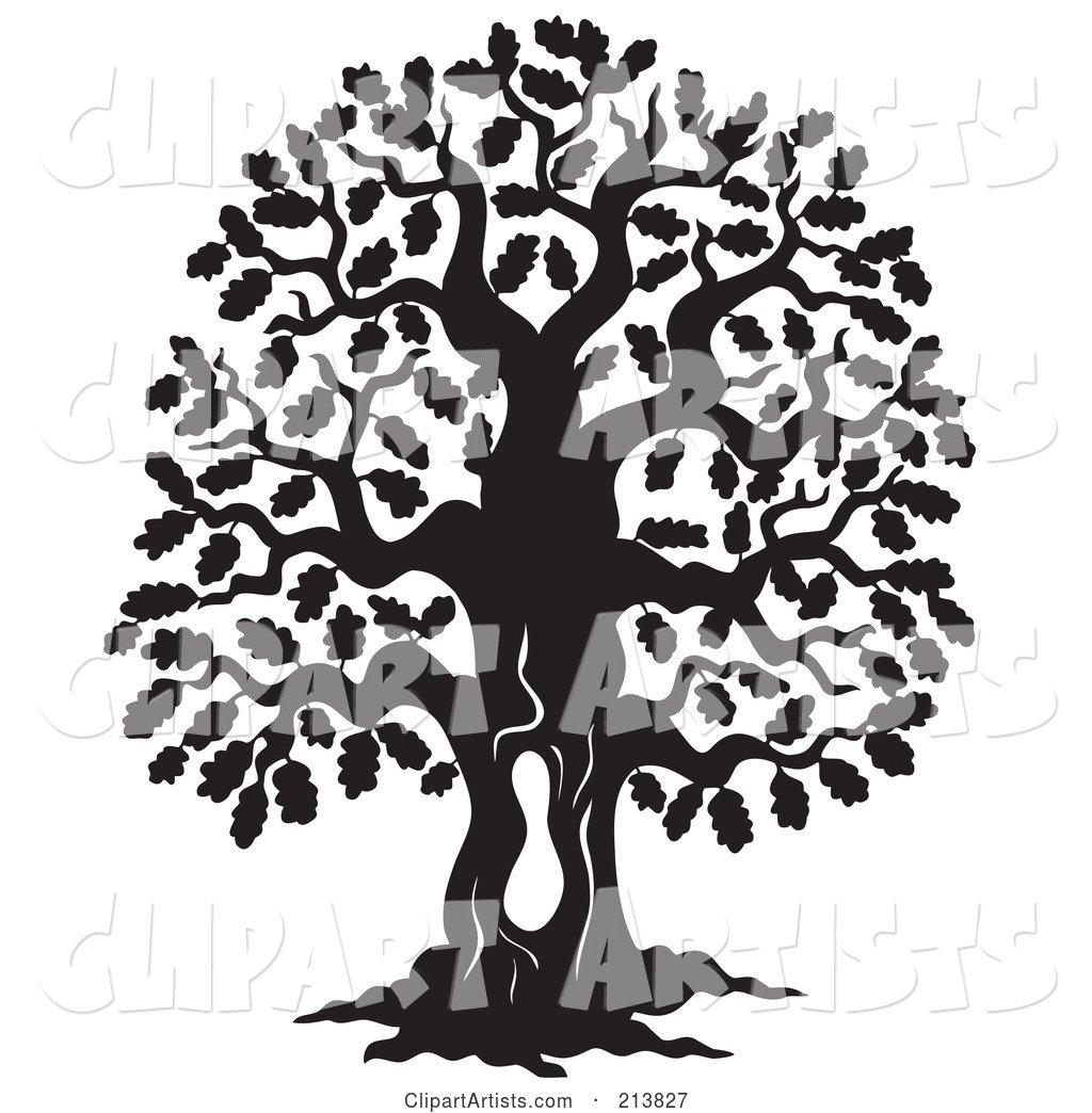 Black and White Oak Tree Design