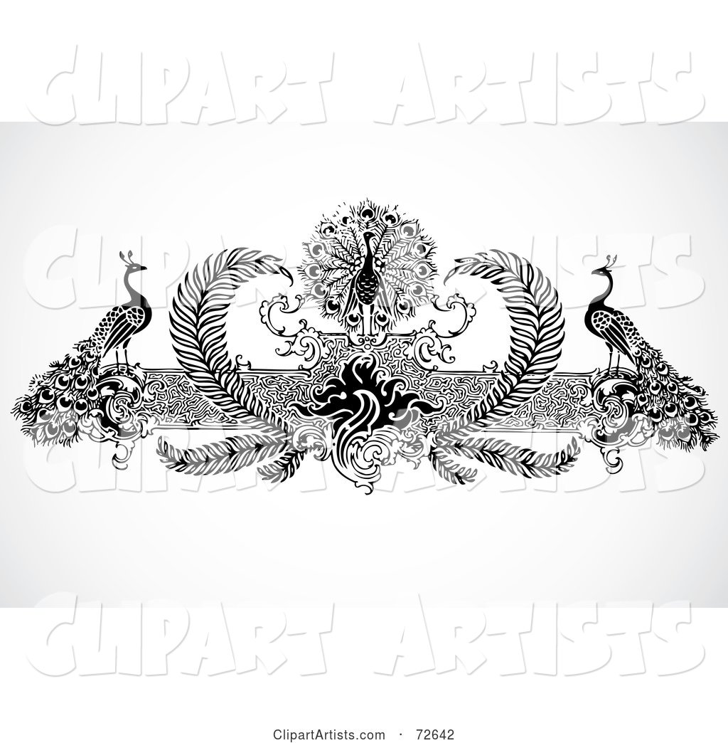 Black and White Peacock and Floral Border