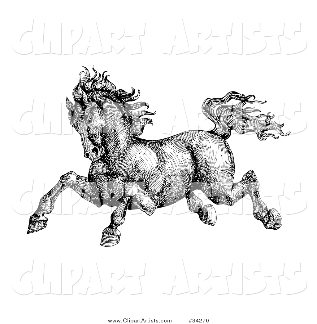 Black and White Pen and Ink Drawing of a Muscular Victorian Horse Running to the Left