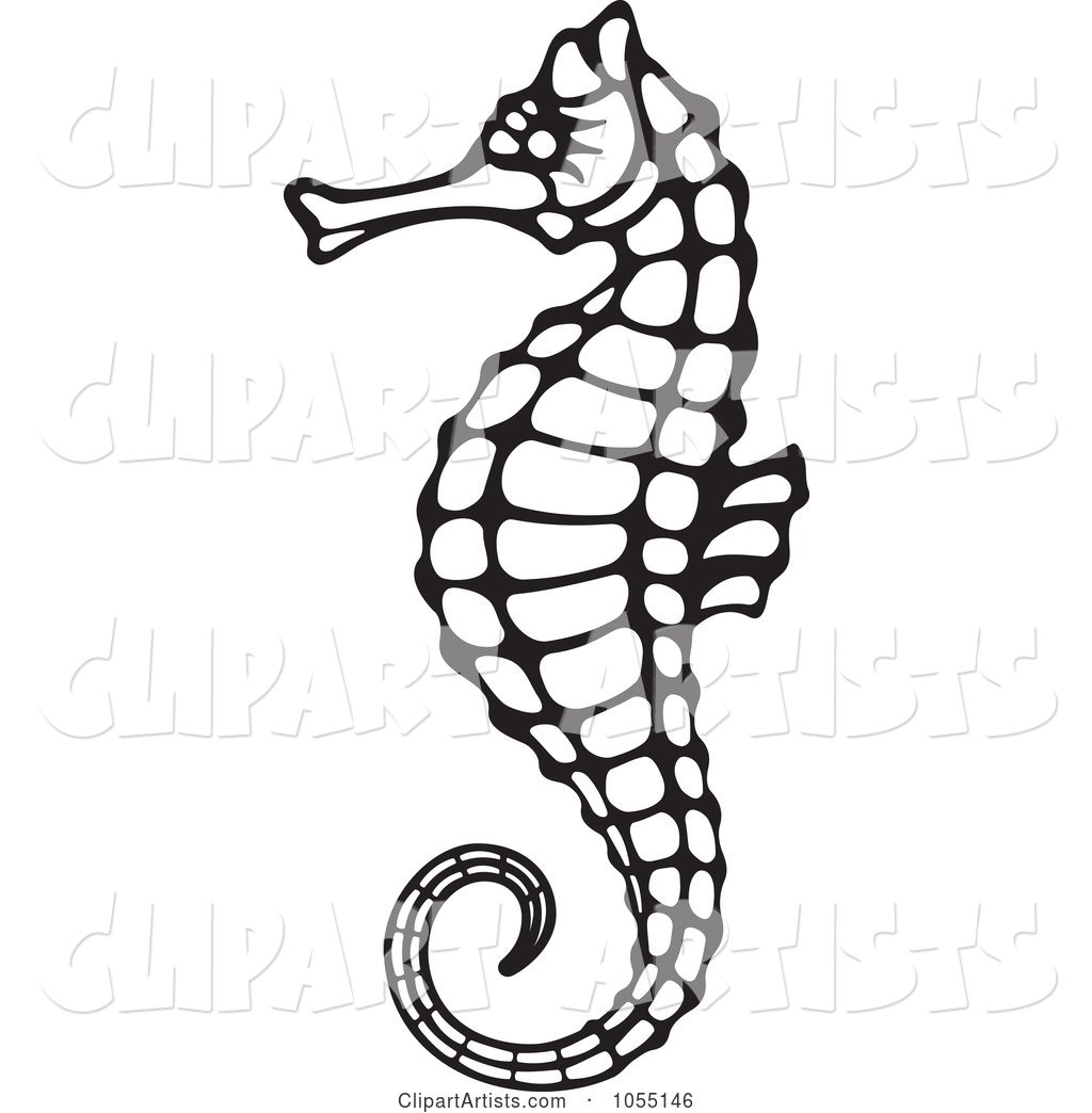 Black and White Seahorse