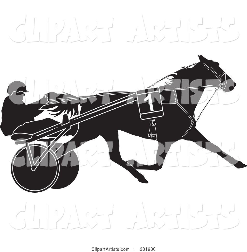 Black and White Trotter Horse