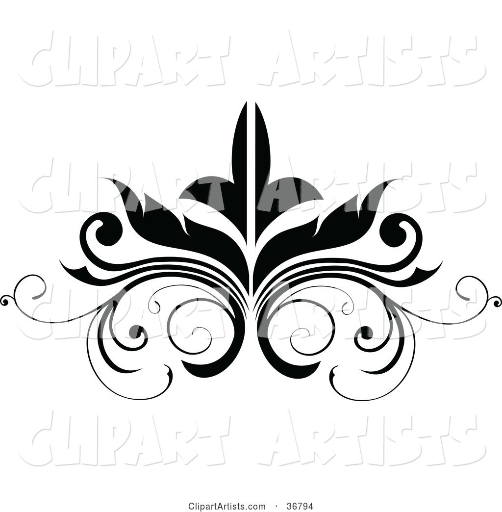 Black Embellishment Design