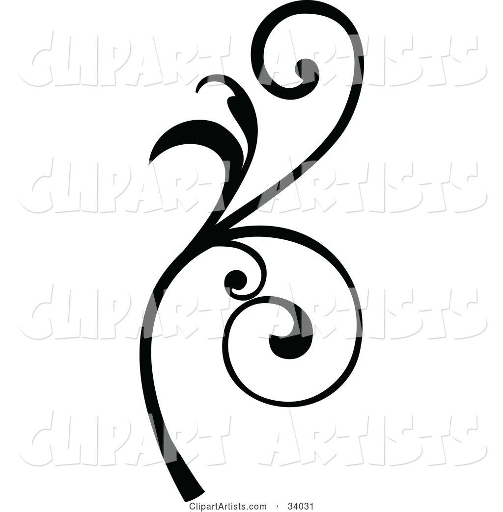 Black Scroll with Curly Vines