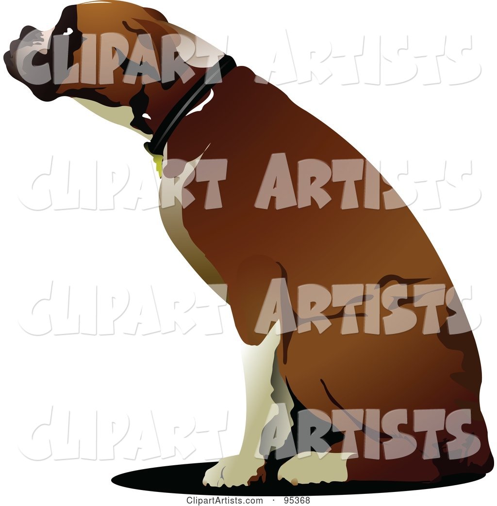 Boxer Dog Sitting in Profile