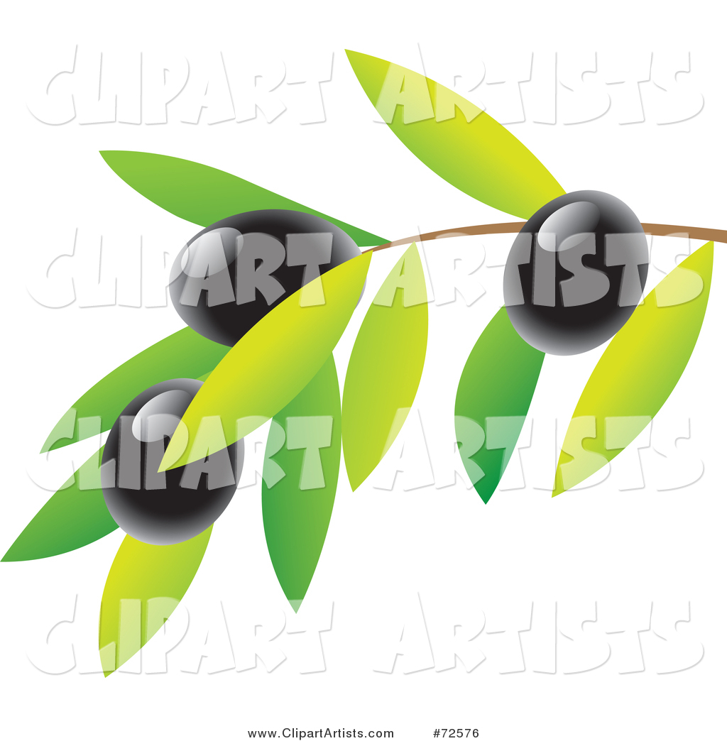 Branch with Leaves and Black Olives