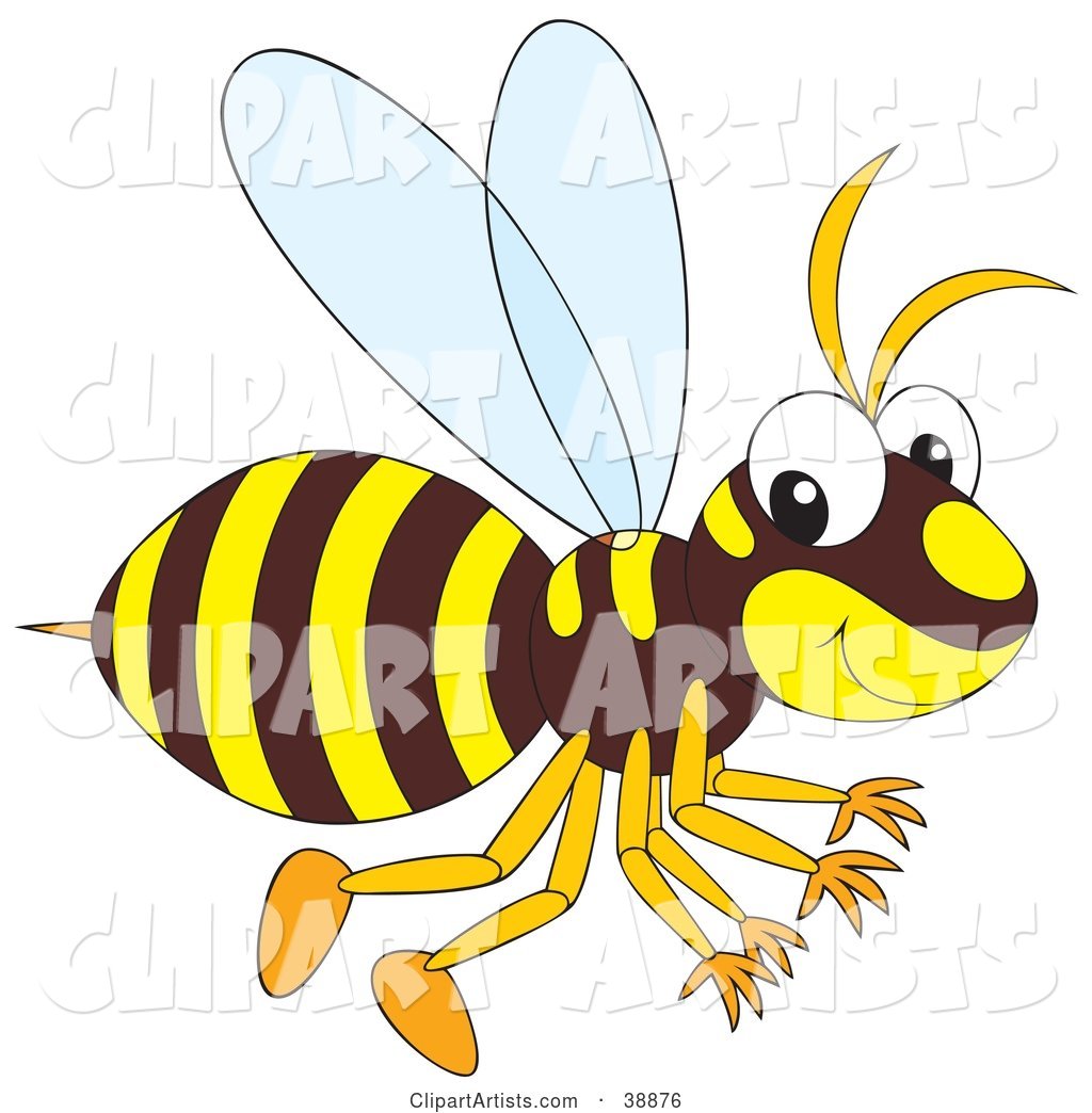 Brown and Yellow Hornet