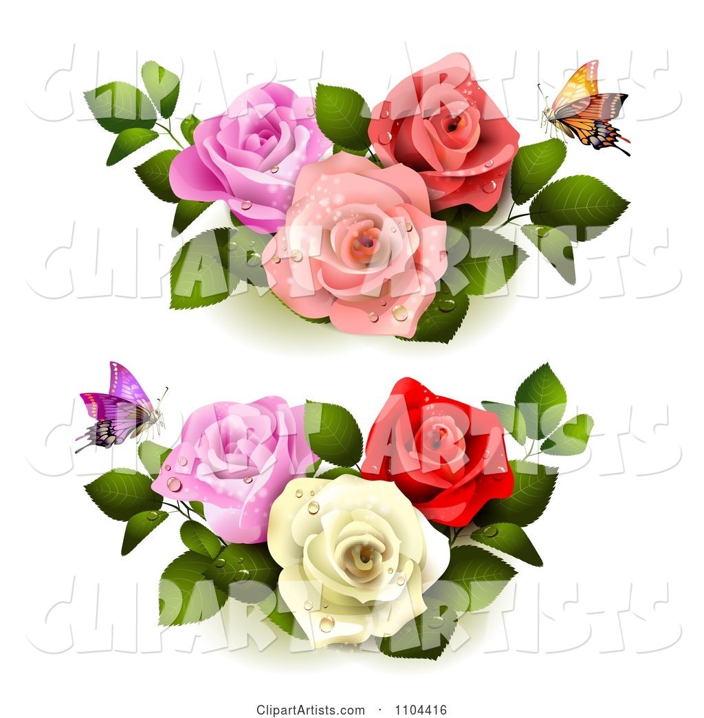 Butterflies with Pink Red and White Roses