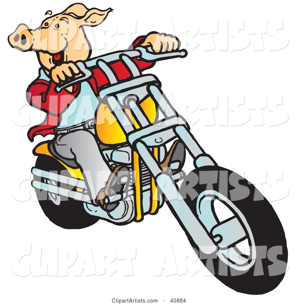 Carefree Hog Riding a Yellow Chopper
