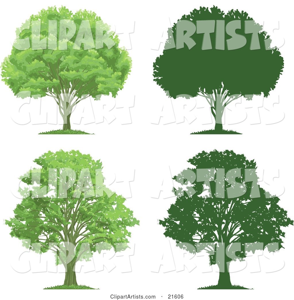Collection of Lush Green and Mature Trees with Their Silhouettes, on a White Background