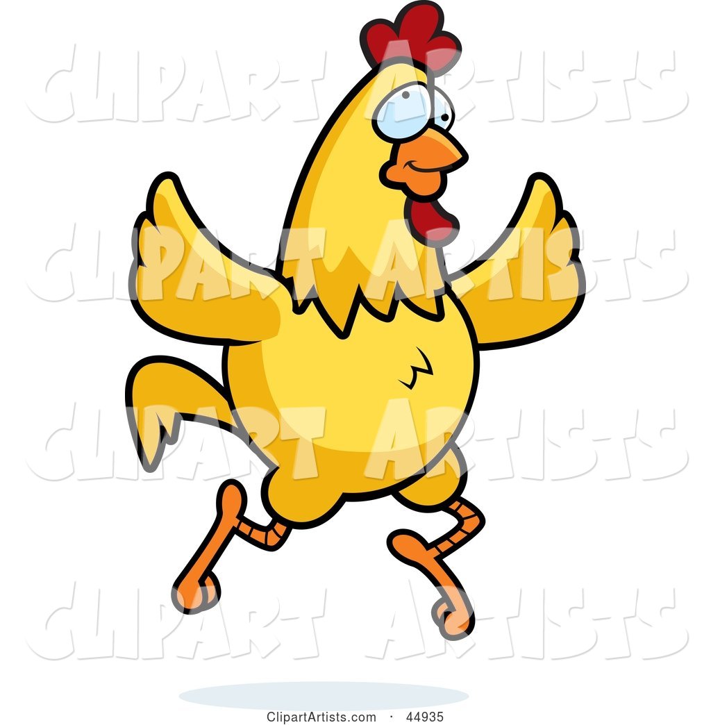 Crazy Yellow Chicken Running and Flapping Its Wings
