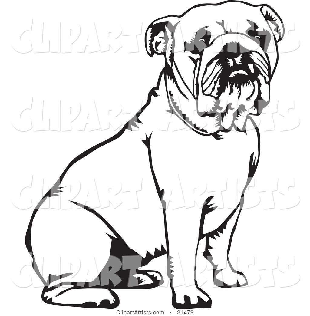 Cute and Obedient Bulldog Seated, over a White Background