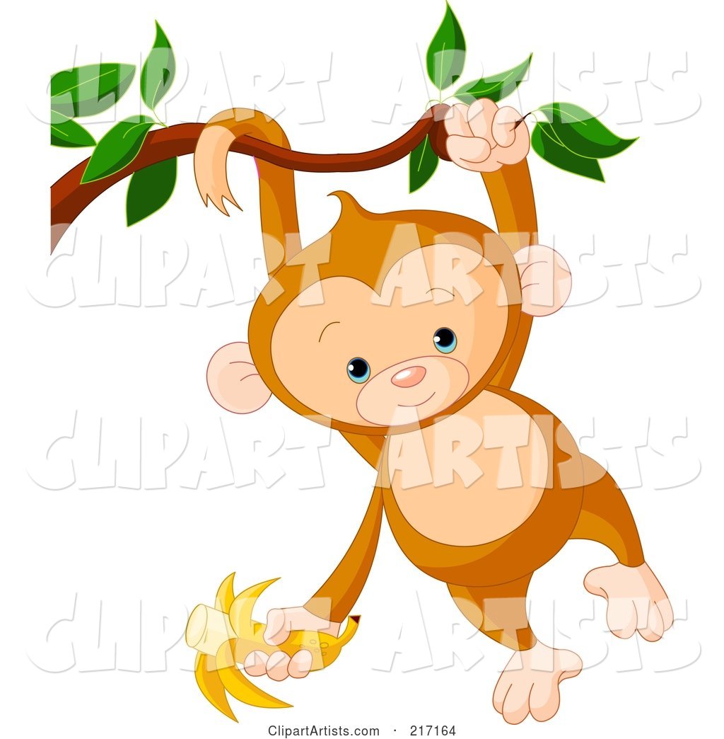 Cute Baby Monkey Swinging from a Branch by His Tail and Arm and Holding a Banana