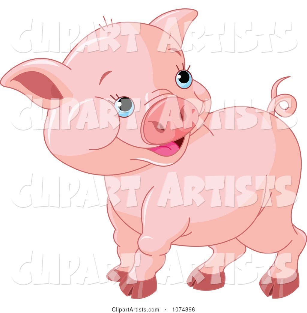 Cute Chubby Baby Pig