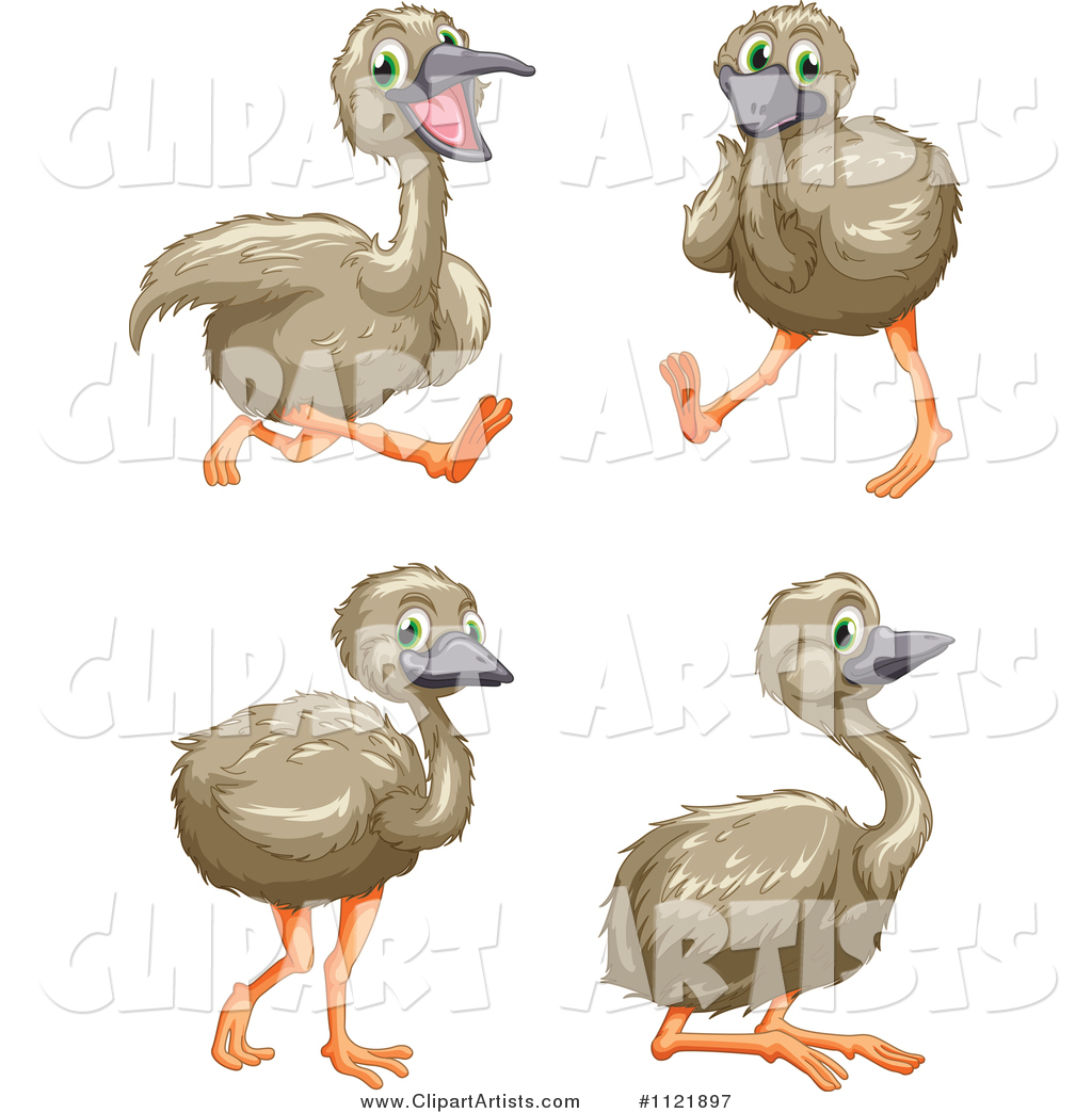 Cute Emus in Different Poses