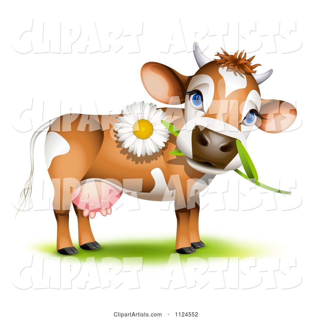 Cute Jersey Cow with a Daisy in Its Mouth