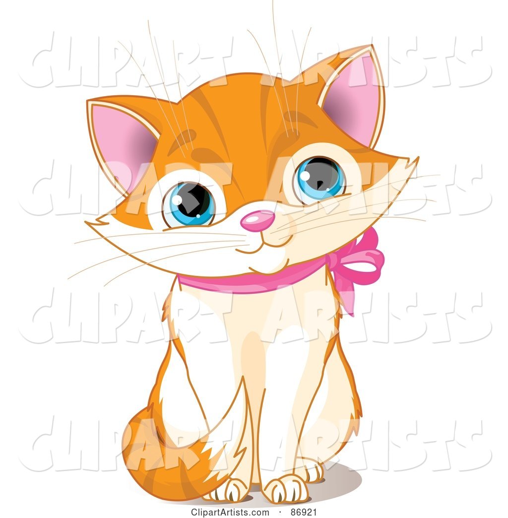 Cute Marmalade Kitten with a Pink Ribbon Collar