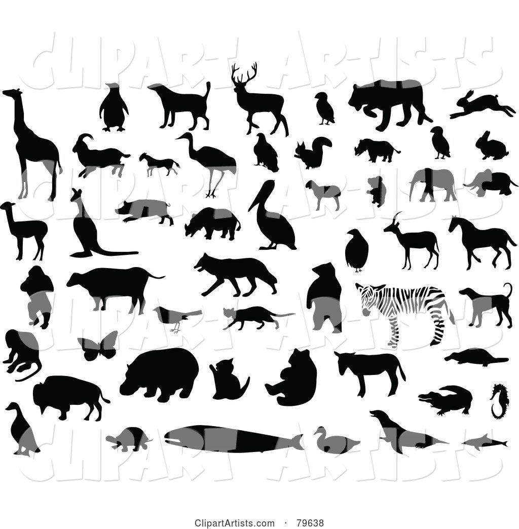 Digital Collage of Silhouetted and Black and White Animals