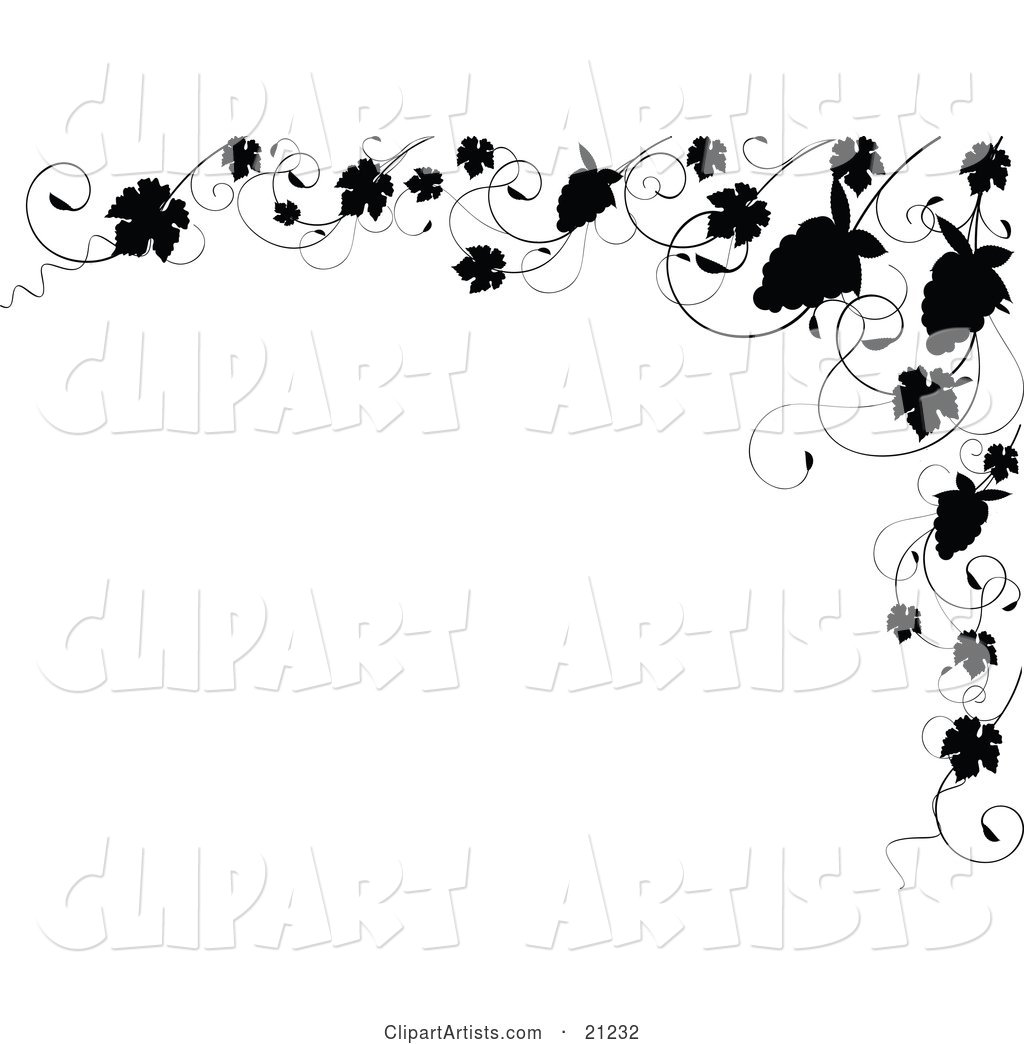 Elegant Black and White Border of Silhouetted Grapes and Grapevines on a White Background