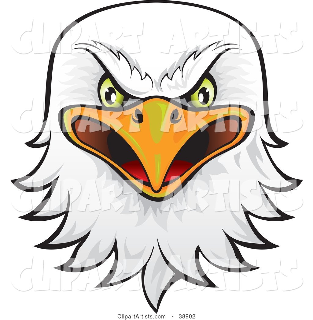 Fierce Green Eyed Bald Eagle Head