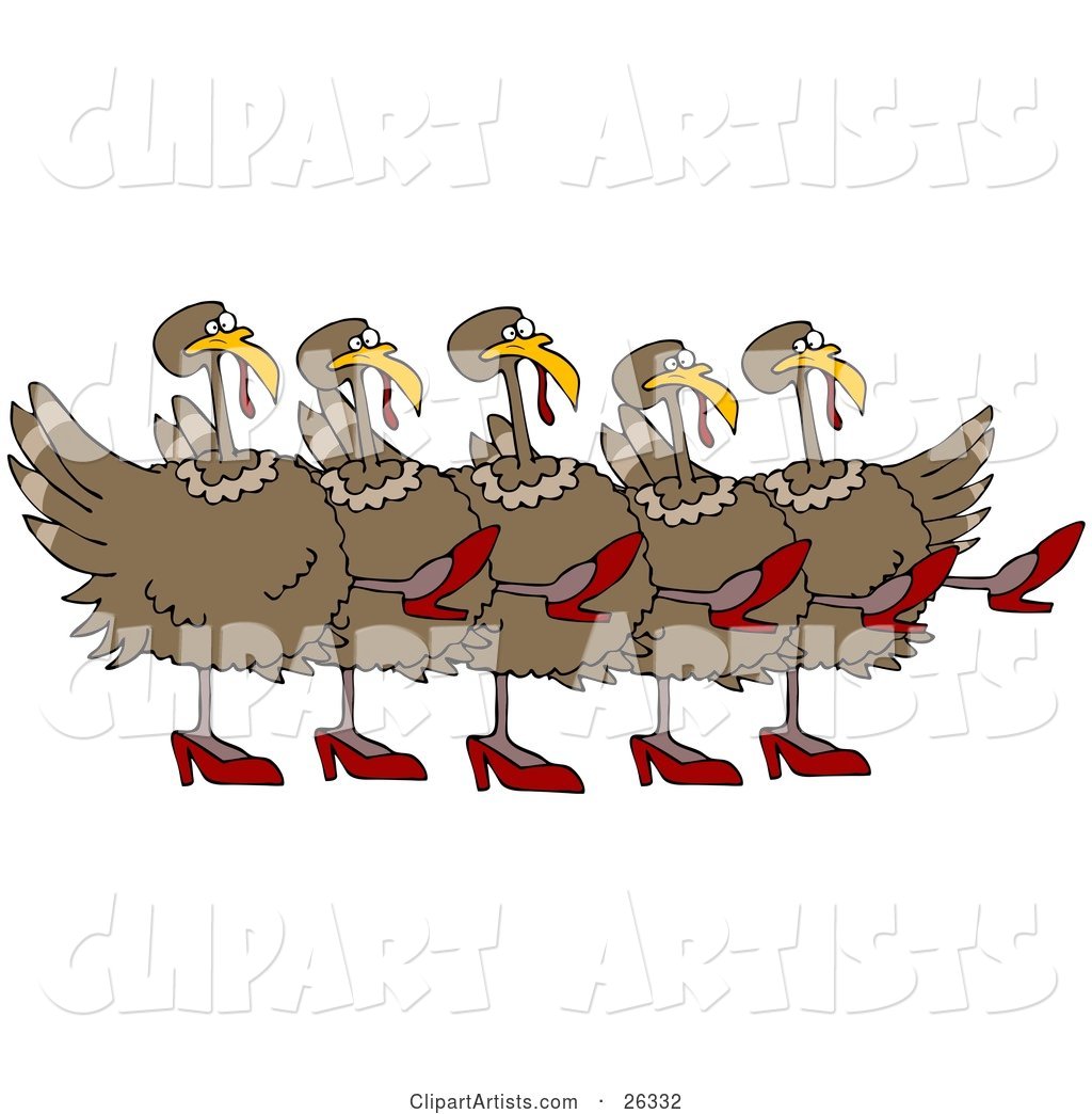 Five Brown Turkey Birds in High Heels, Kicking Their Legs up While Dancing in a Chorus Line