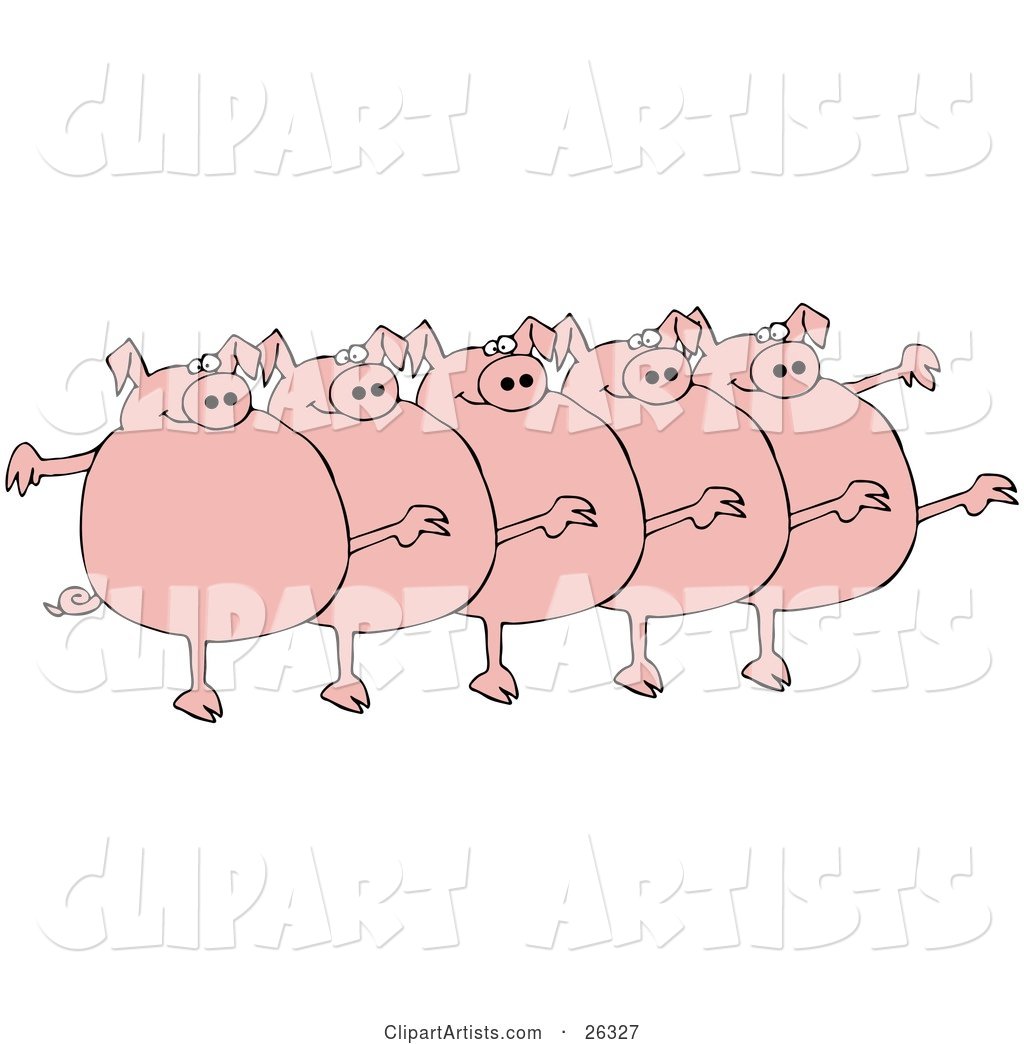 Five Fat Pink Pigs Kicking Their Legs up While Dancing in a Chorus Line