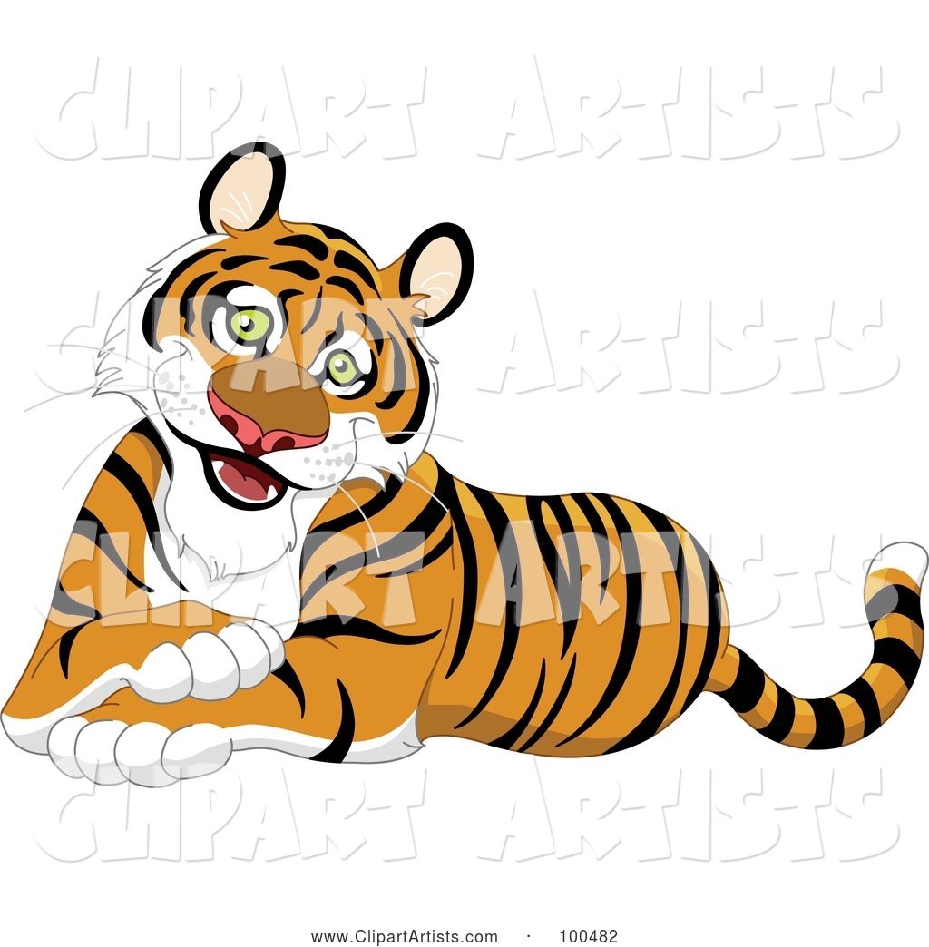 Friendly Male Tiger Sitting with His Front Paws Crossed