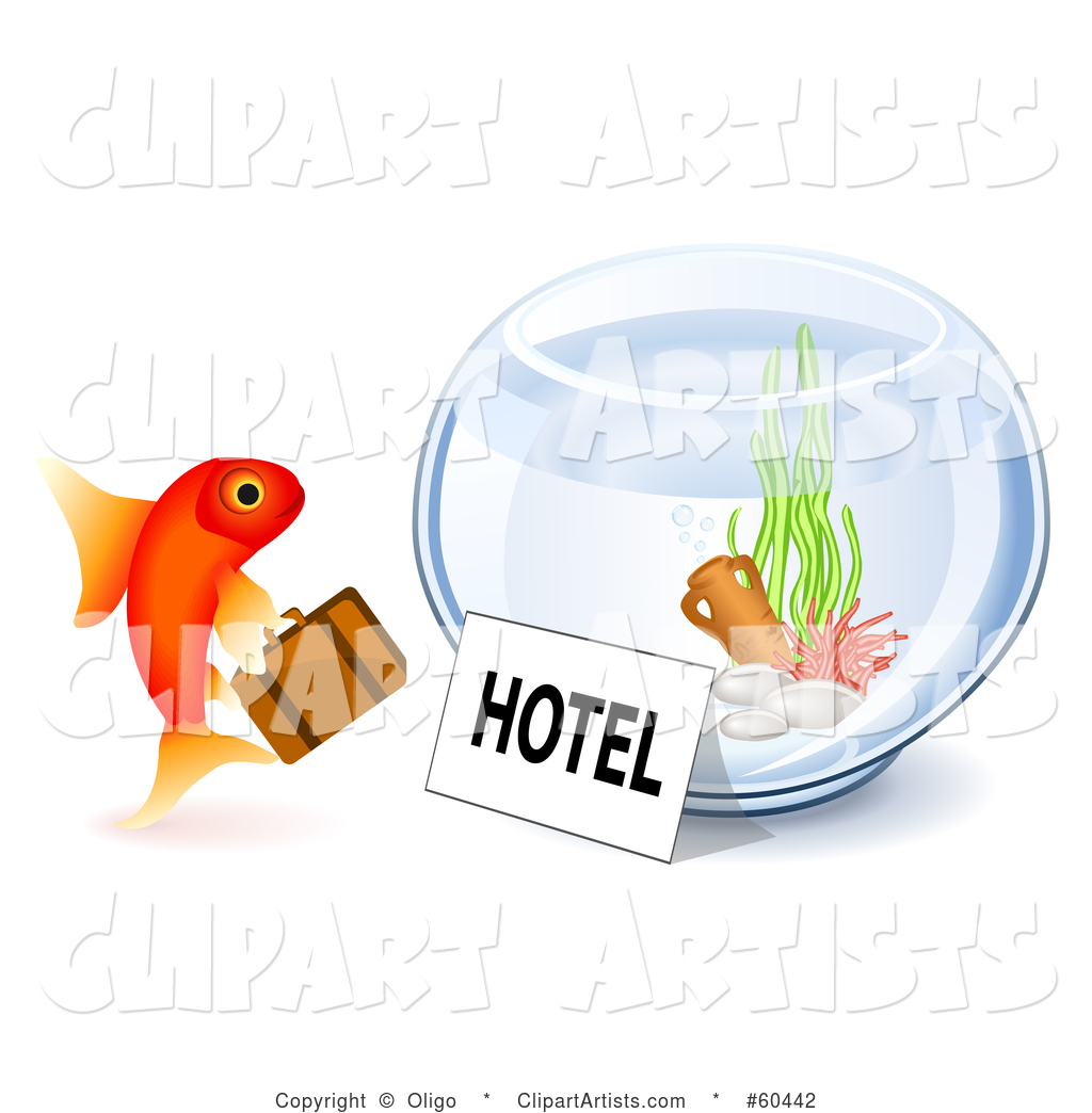 Goldfish Checking into a Hotel Bowl