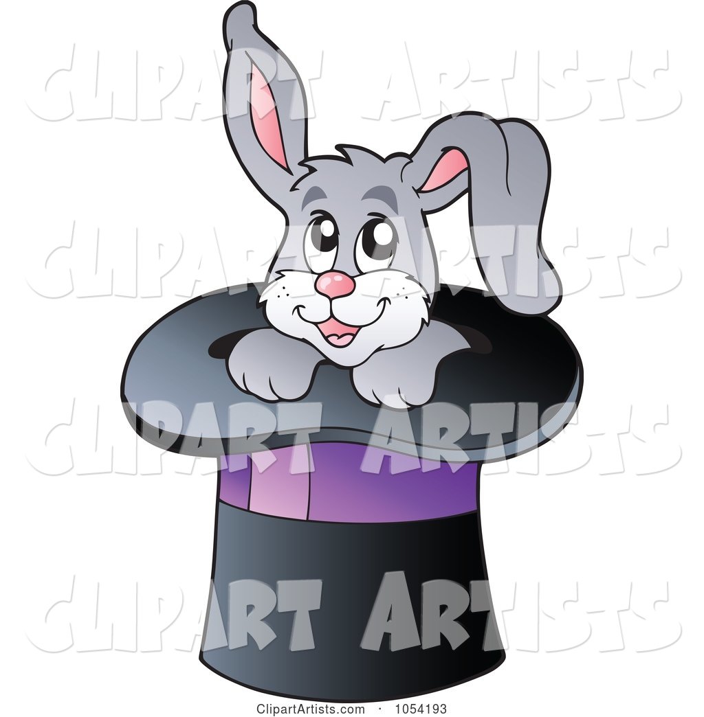 Gray Rabbit in a Magic Hat